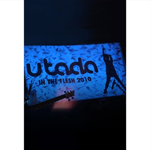 Utada/Hikaru Utada: In The Flesh 2010のサムネイル